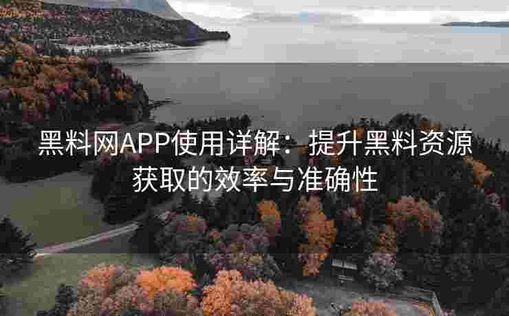 黑料网APP使用详解：提升黑料资源获取的效率与准确性
